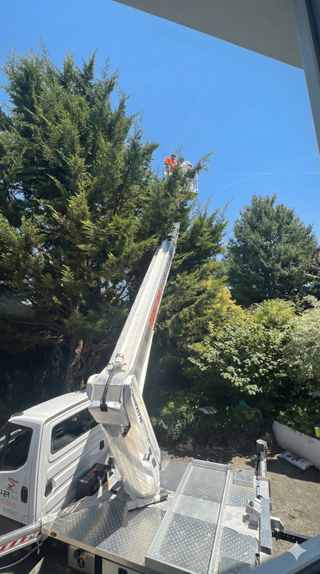 Élagage en hauteur réalisé par Artifloor